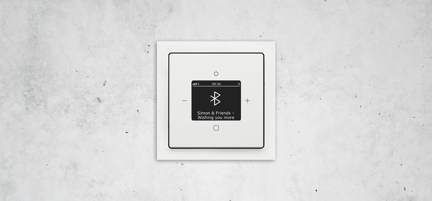 Busch-Radio Btconnect bei AC Elektro GbR in Billigheim-Ingenheim
